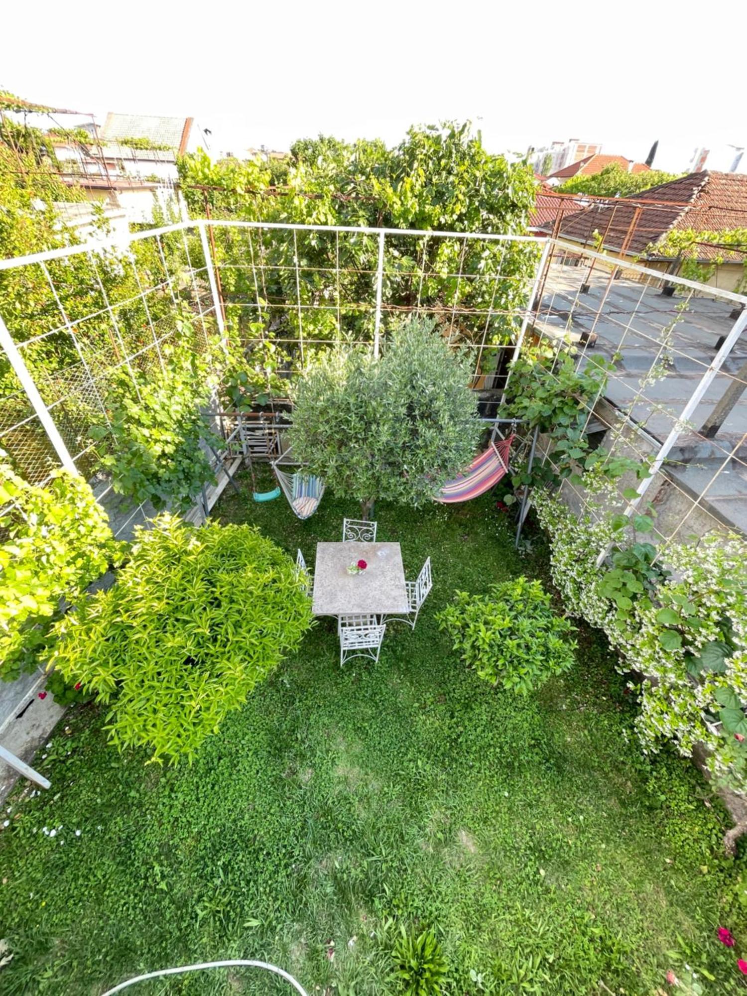 Vila Nela Shkodër エクステリア 写真
