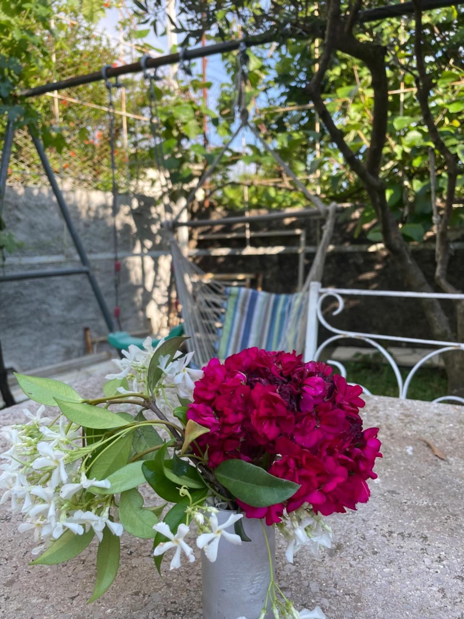 Vila Nela Shkodër エクステリア 写真