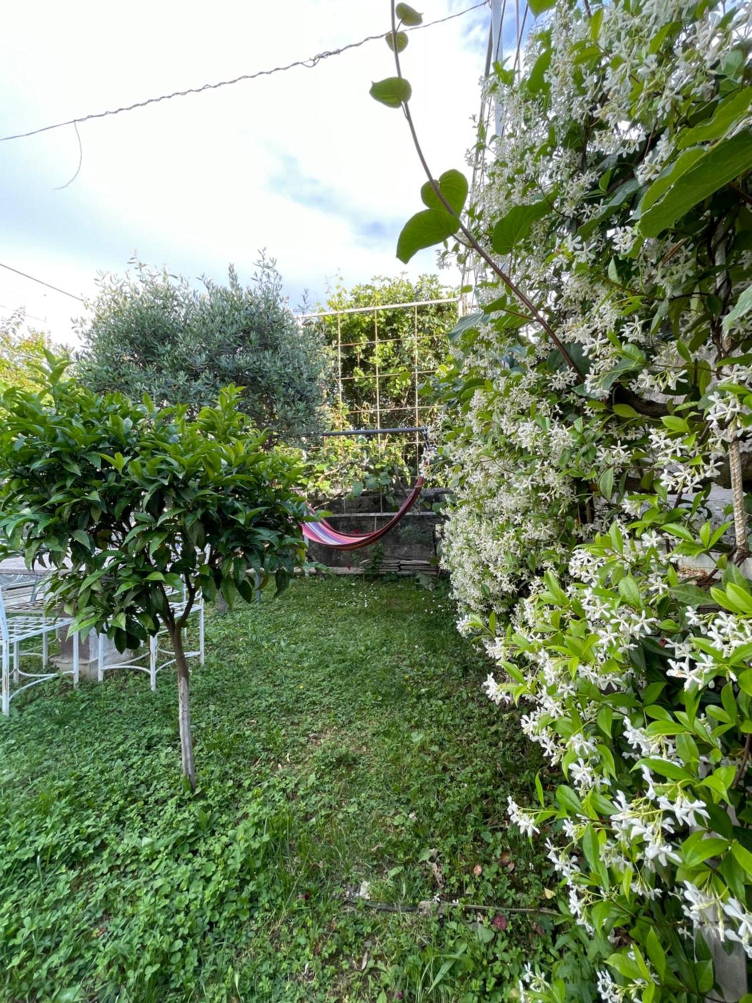Vila Nela Shkodër エクステリア 写真