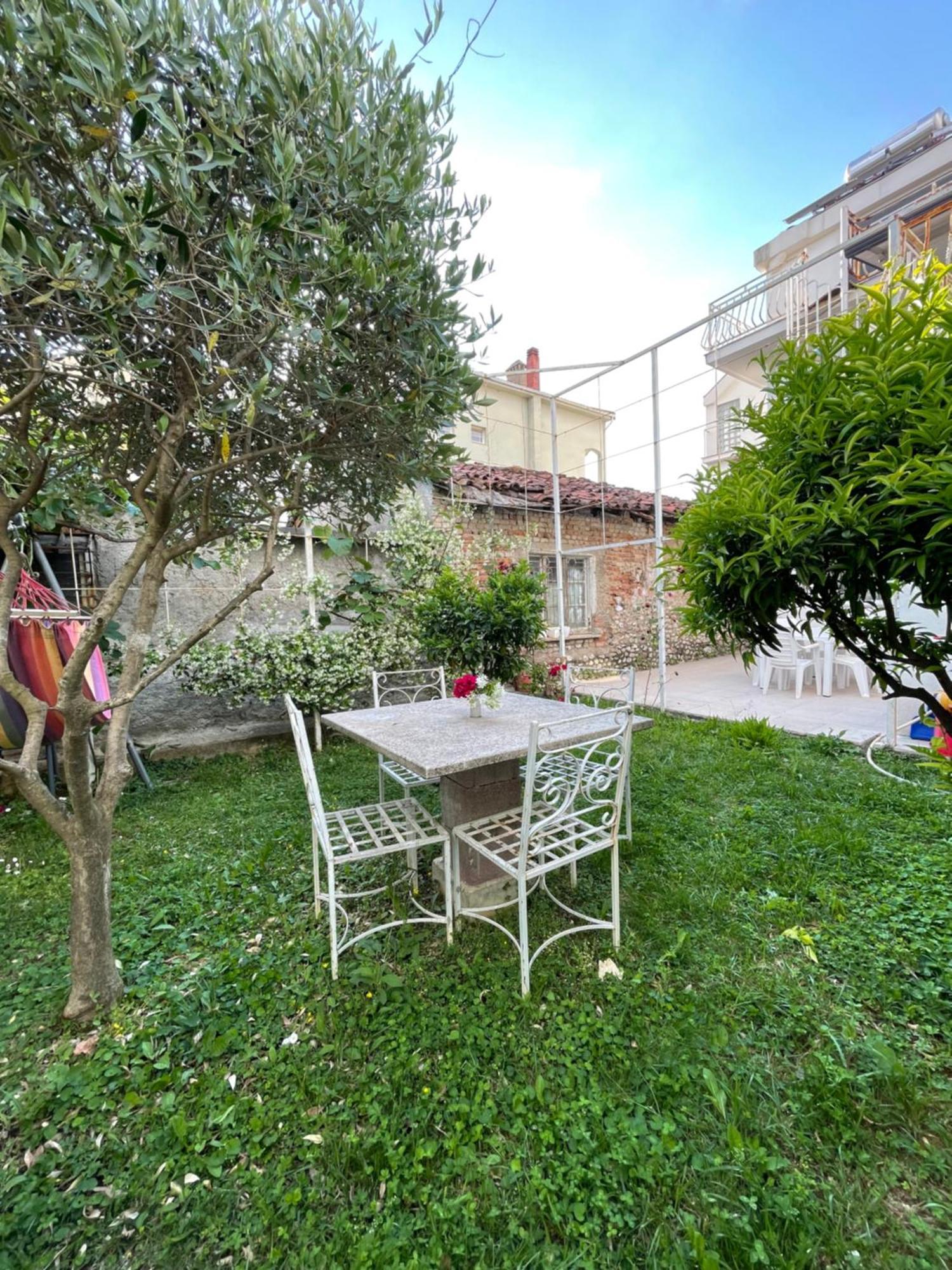 Vila Nela Shkodër エクステリア 写真