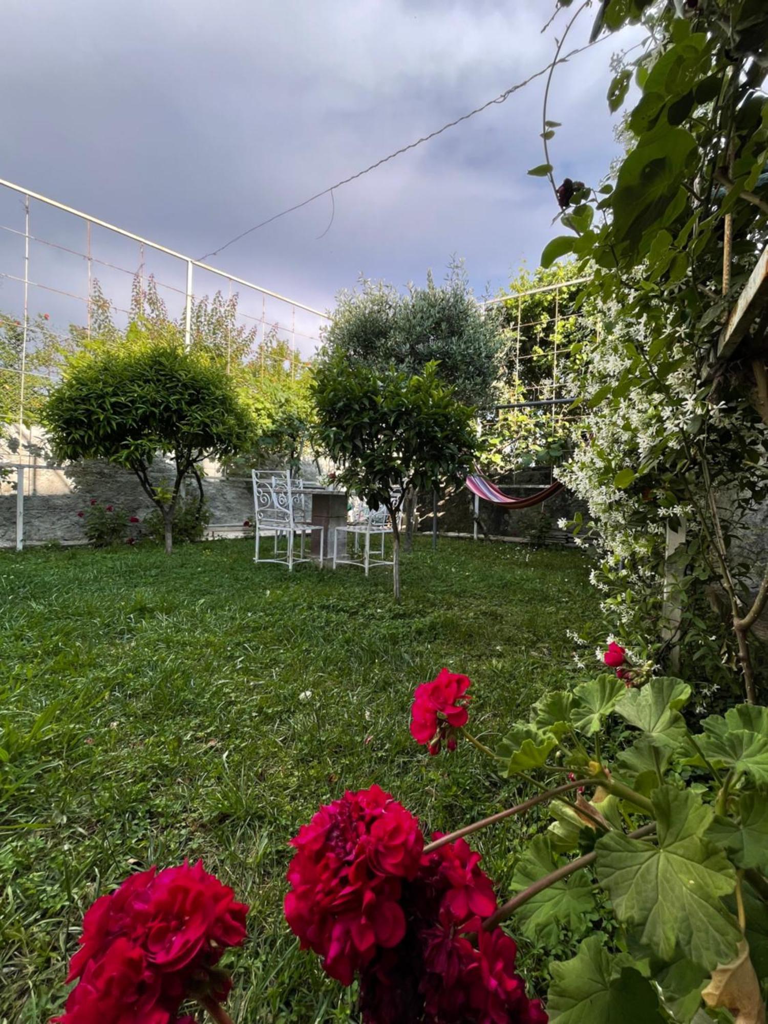 Vila Nela Shkodër エクステリア 写真